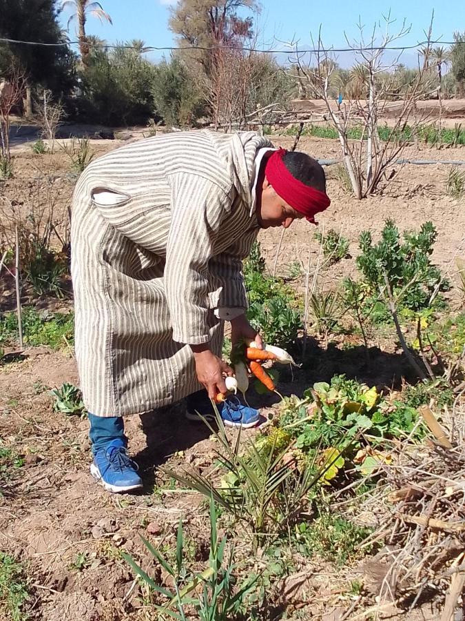 מלון סקורה Kasbah Dar Dmana מראה חיצוני תמונה